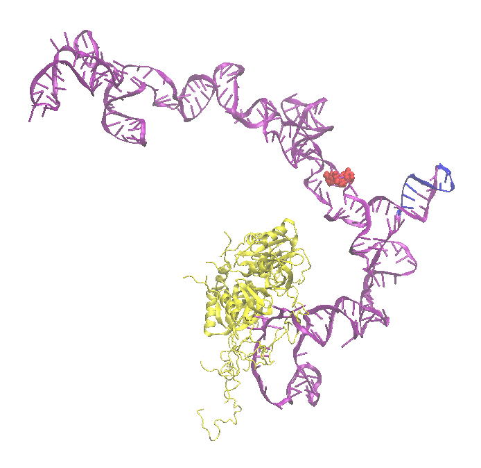 inline image