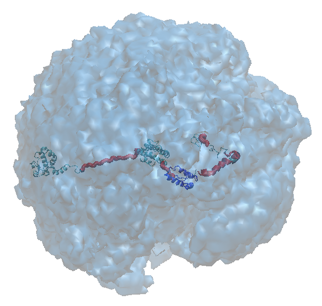 inline image