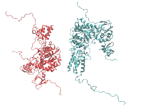 inline image